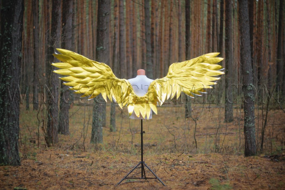 Buy realistic angel wings costume "Golden rain mini"